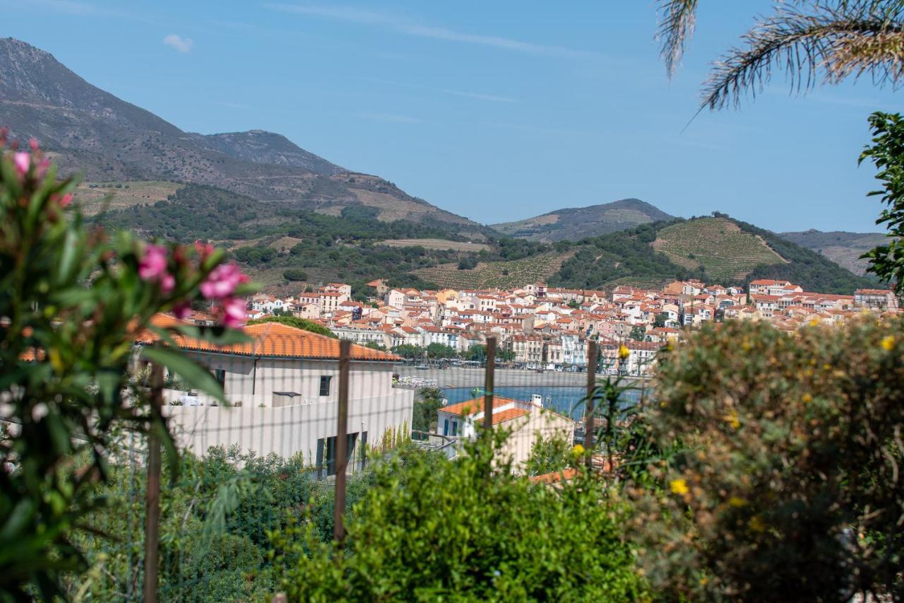 Villa Bougainvilliers Banyuls-sur-Mer Extérieur photo