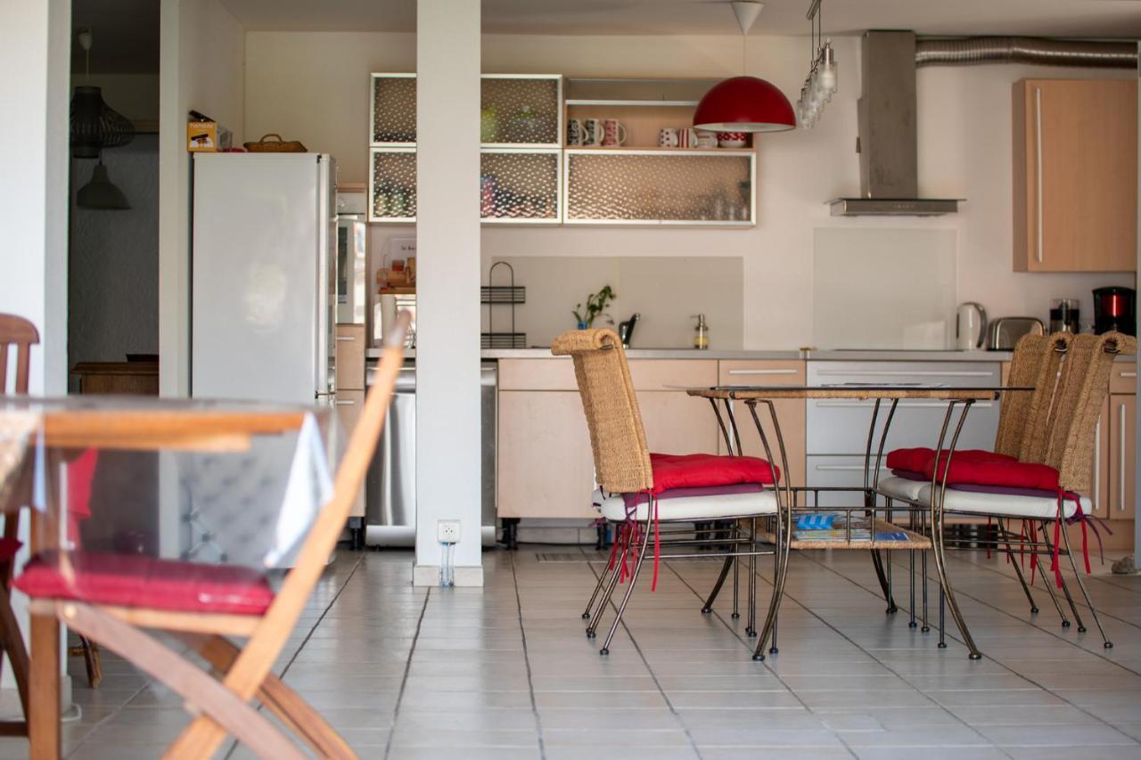 Villa Bougainvilliers Banyuls-sur-Mer Extérieur photo