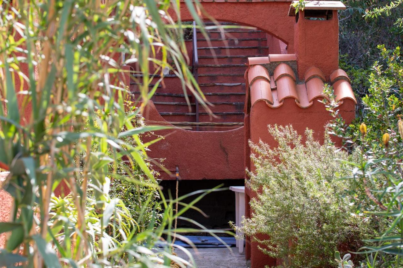 Villa Bougainvilliers Banyuls-sur-Mer Extérieur photo